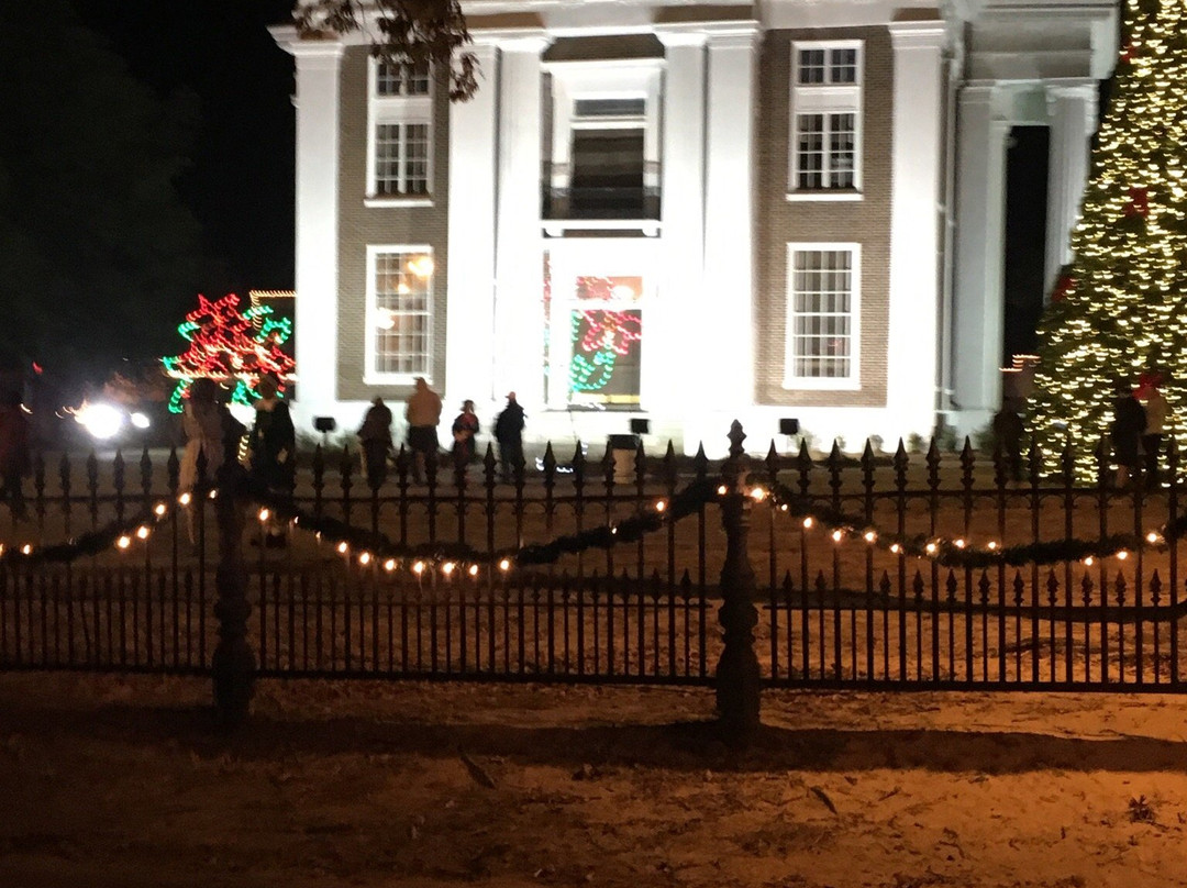Canton Christmas Festival景点图片