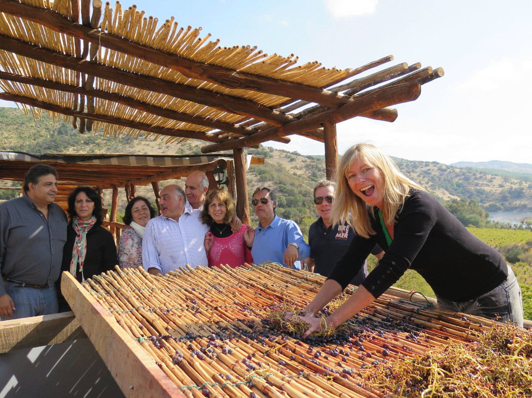 Vina Gonzalez Bastias-San Javier必去景点