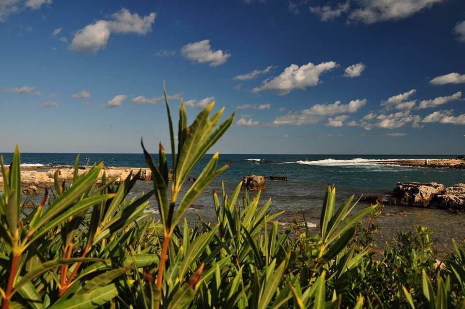 Lungomare Di San Vito景点图片