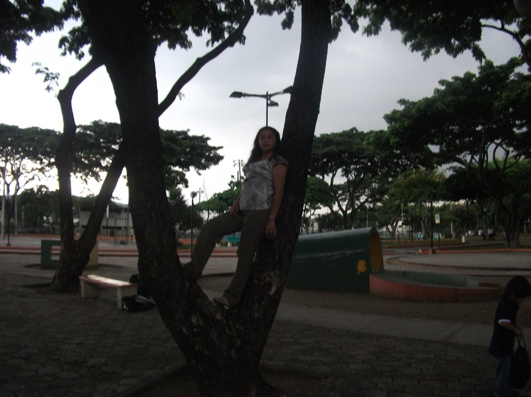 Parque de la Kennedy景点图片