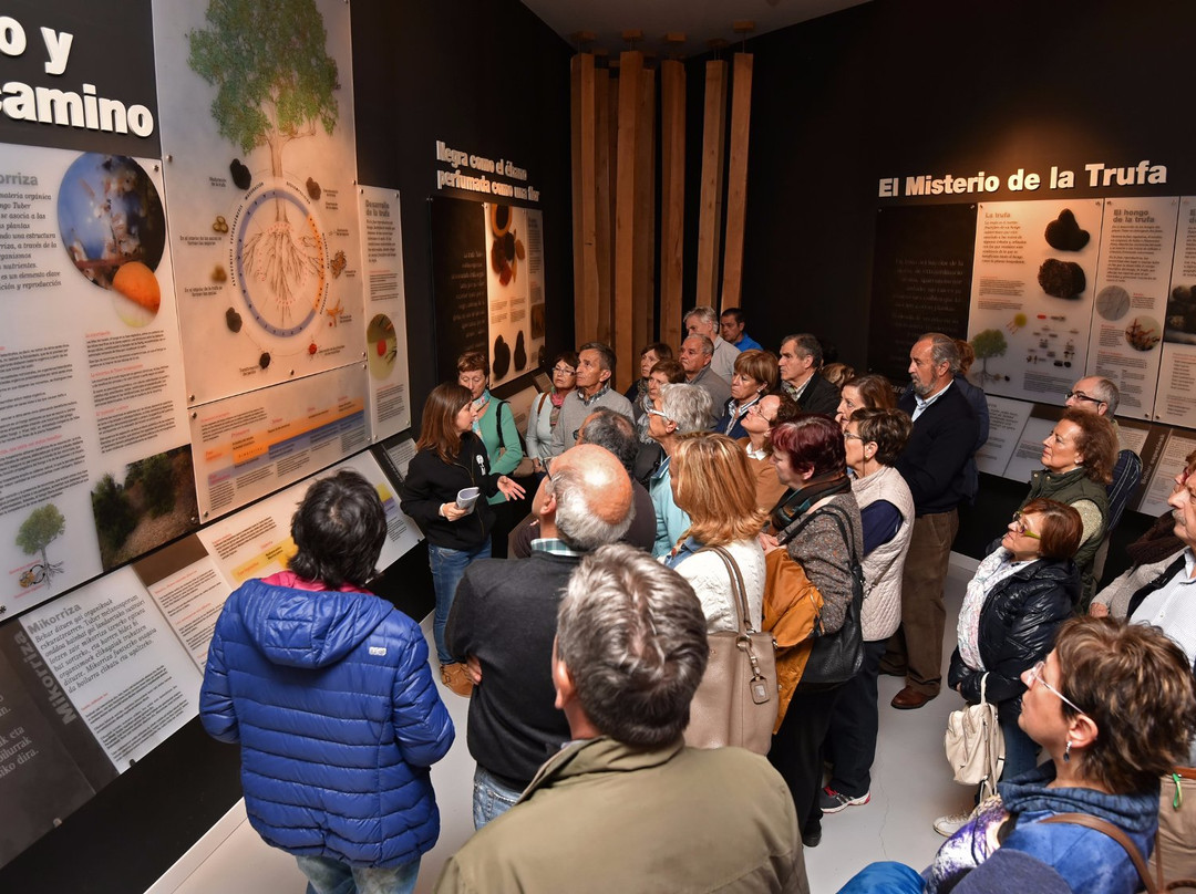 Truffle Museum-Metauten必去景点