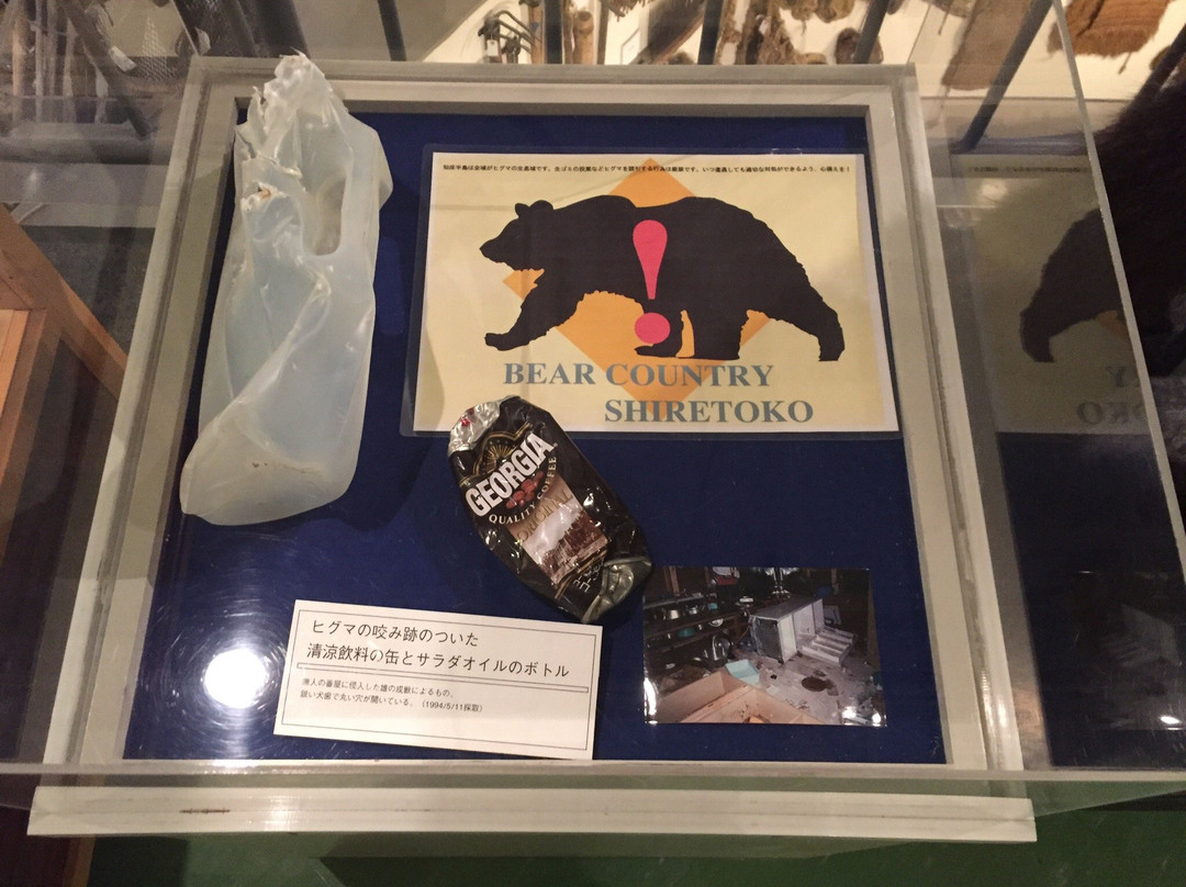 知床博物馆景点图片