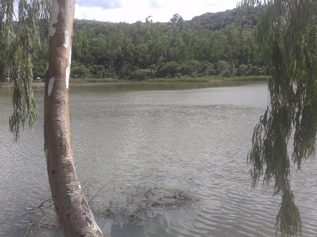Barragem Benfica景点图片