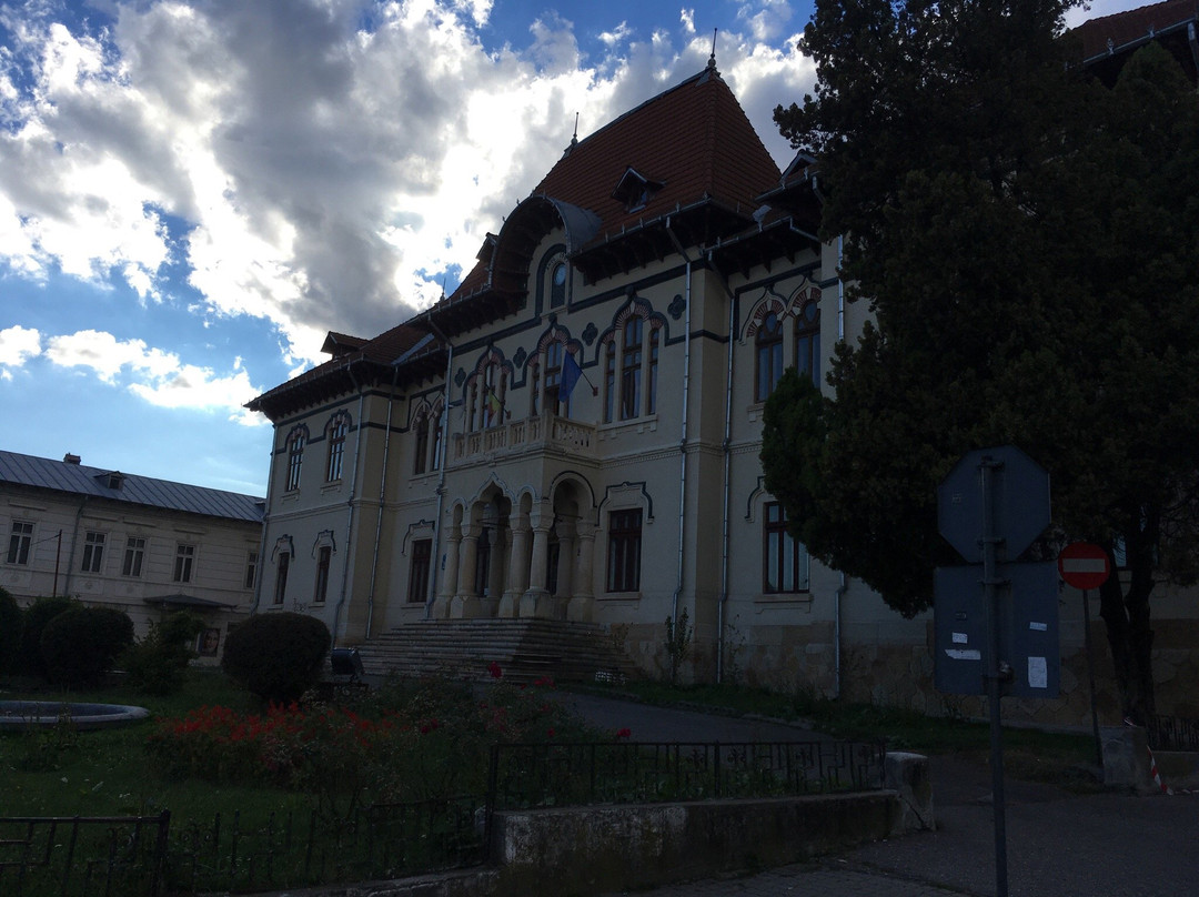 Muzeul Municipal Câmpulung Muscel景点图片