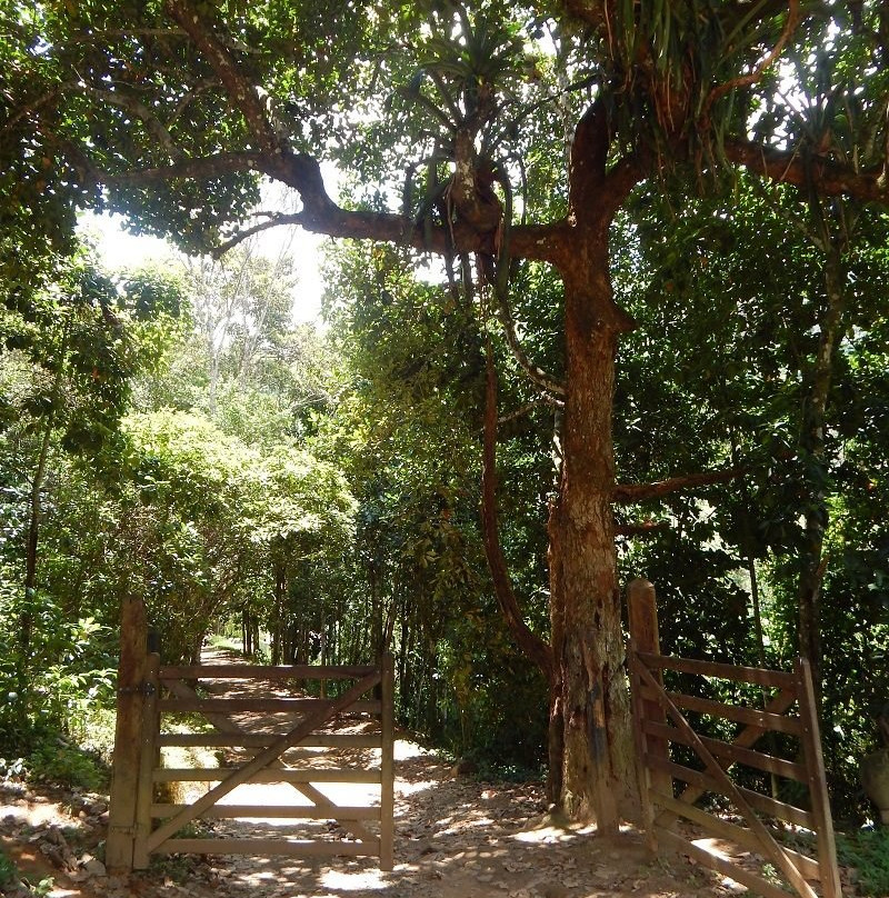 Cachoeira Barra Azul景点图片