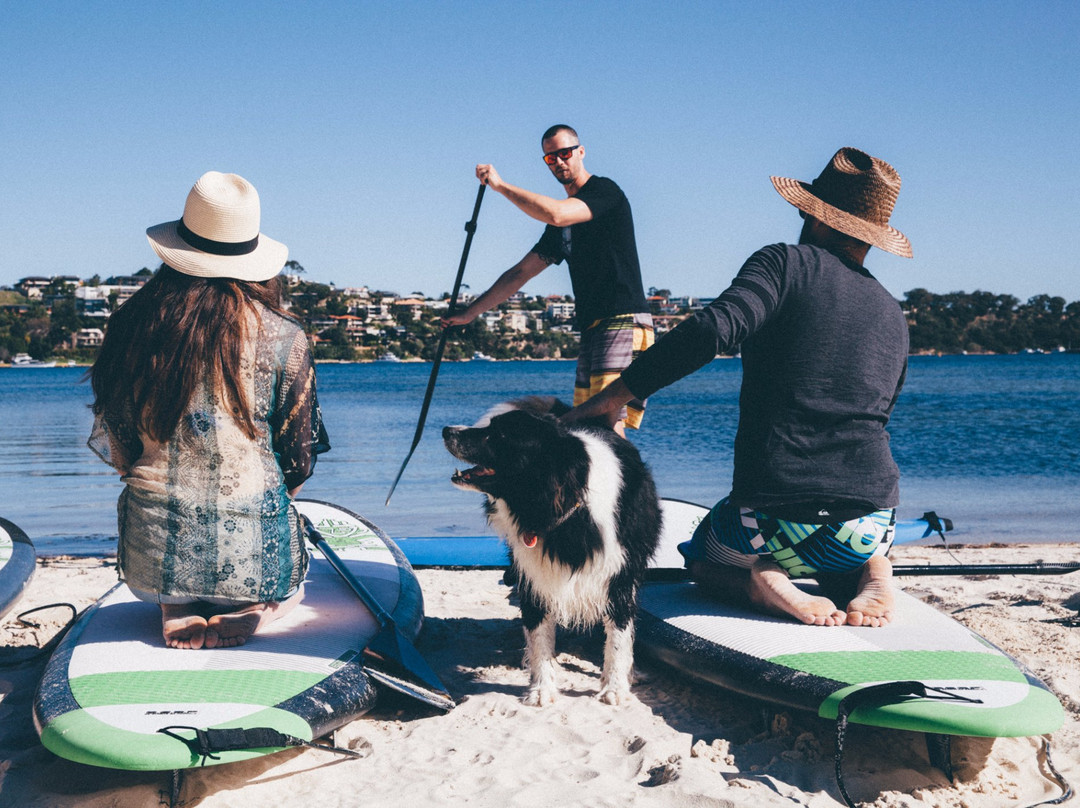 Sunset Stand Up Paddleboards景点图片