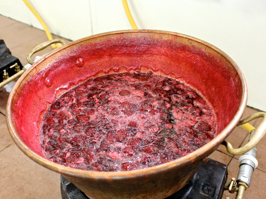 Quai Sud-Signes必去景点