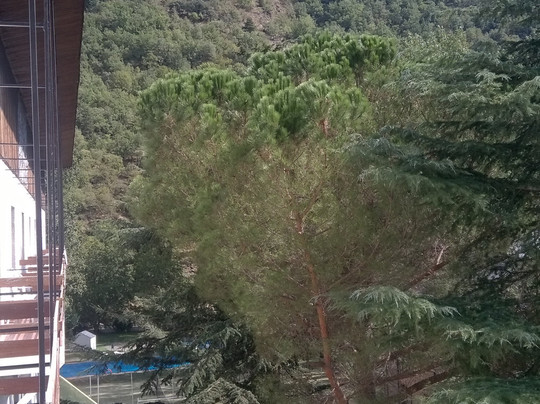 马维尔帕拉斯伯爵酒店