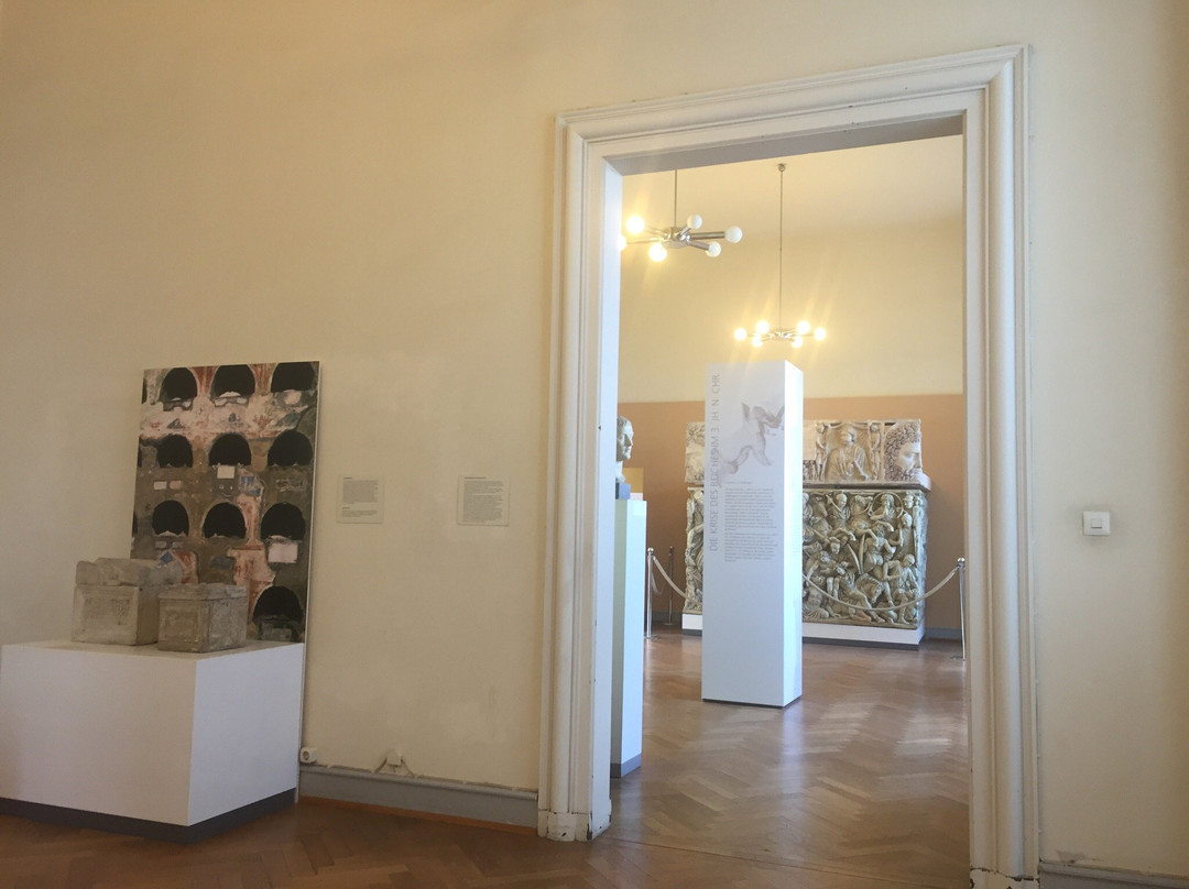 Römisch-Germanisches Zentralmuseum-美因茨必去景点