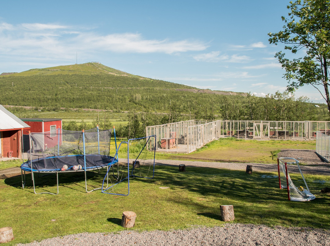 Husky Lodge