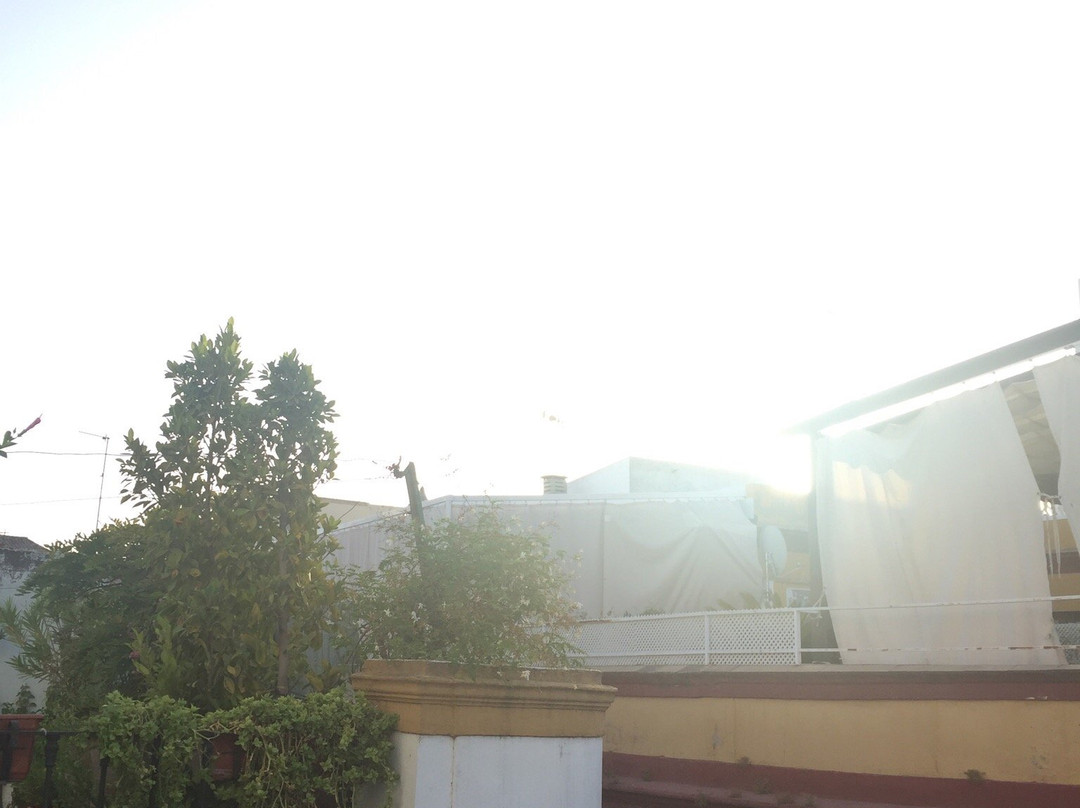 Sevilla y Tu景点图片