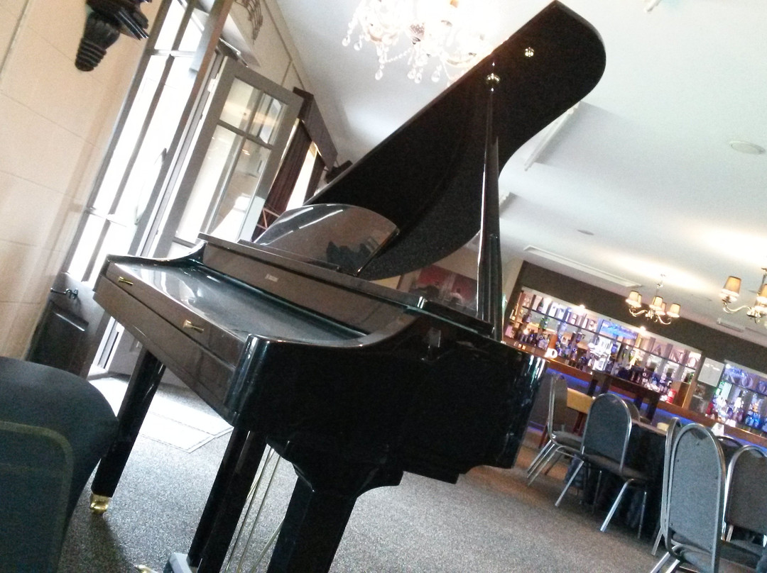 The Piano Room景点图片