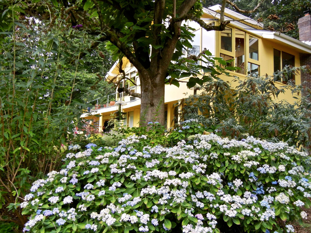 瀑布景住宿加早餐旅馆