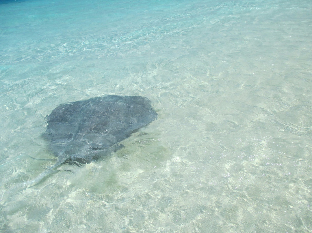 Kudahuvadhoo Inn主图