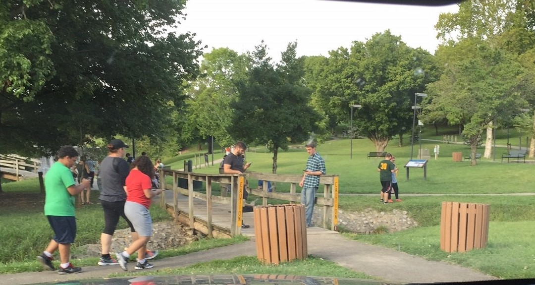 Bicentennial Greenbelt Park景点图片