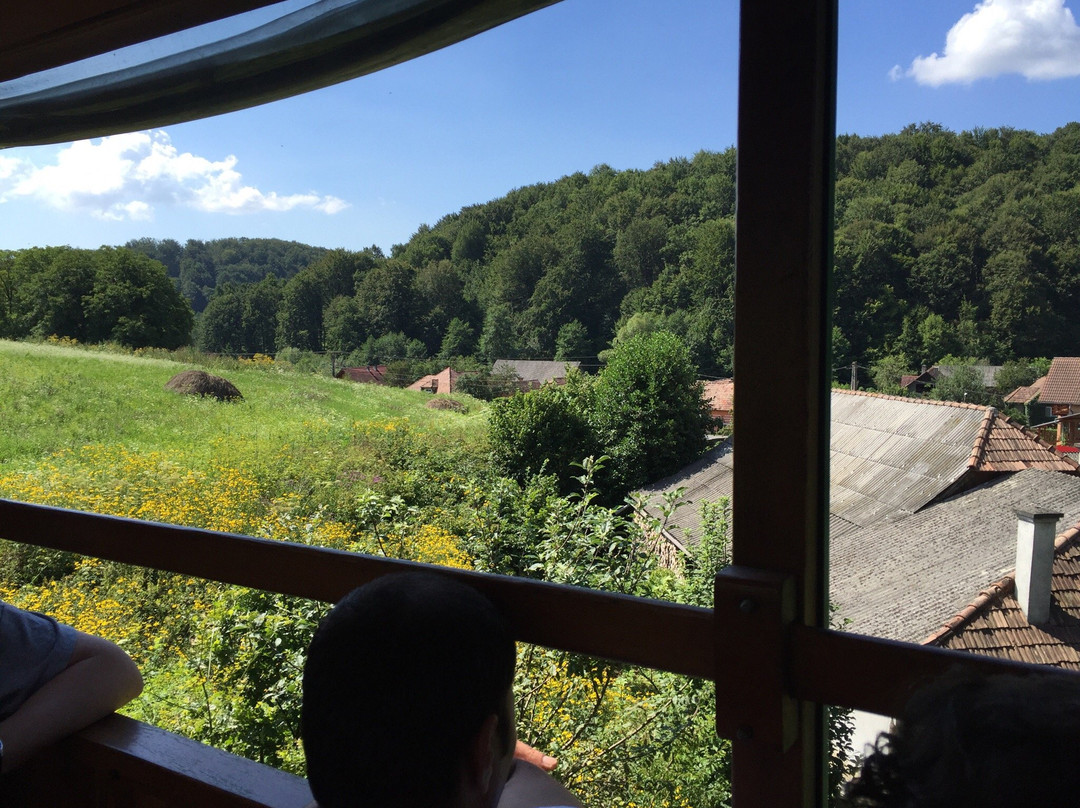 Mocaniţa Sovata-Sovata必去景点