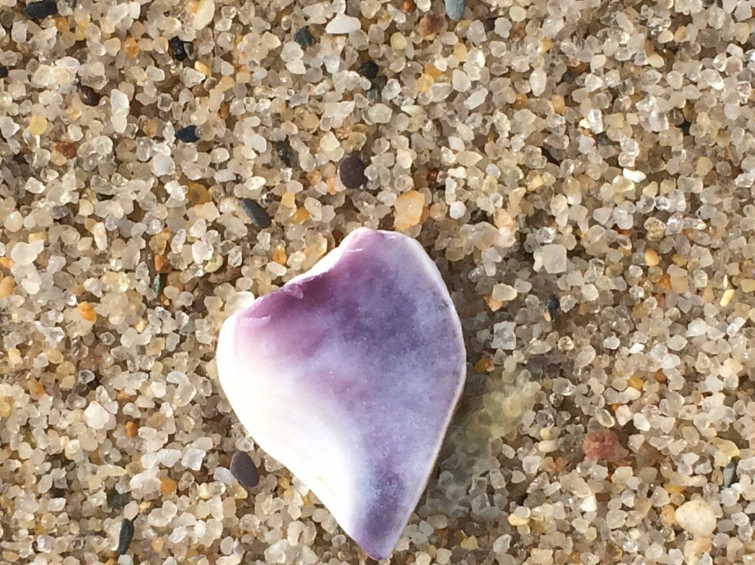 Cold Storage Beach景点图片