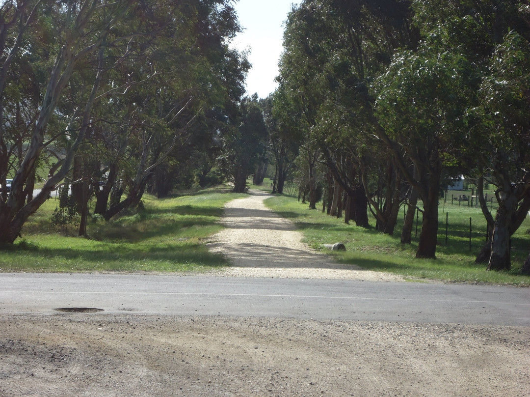 Gippsland Plains Rail Trail-特拉拉尔根必去景点