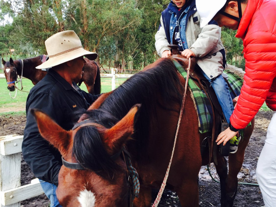Cowboy Up Trail Rides-彭伯顿必去景点