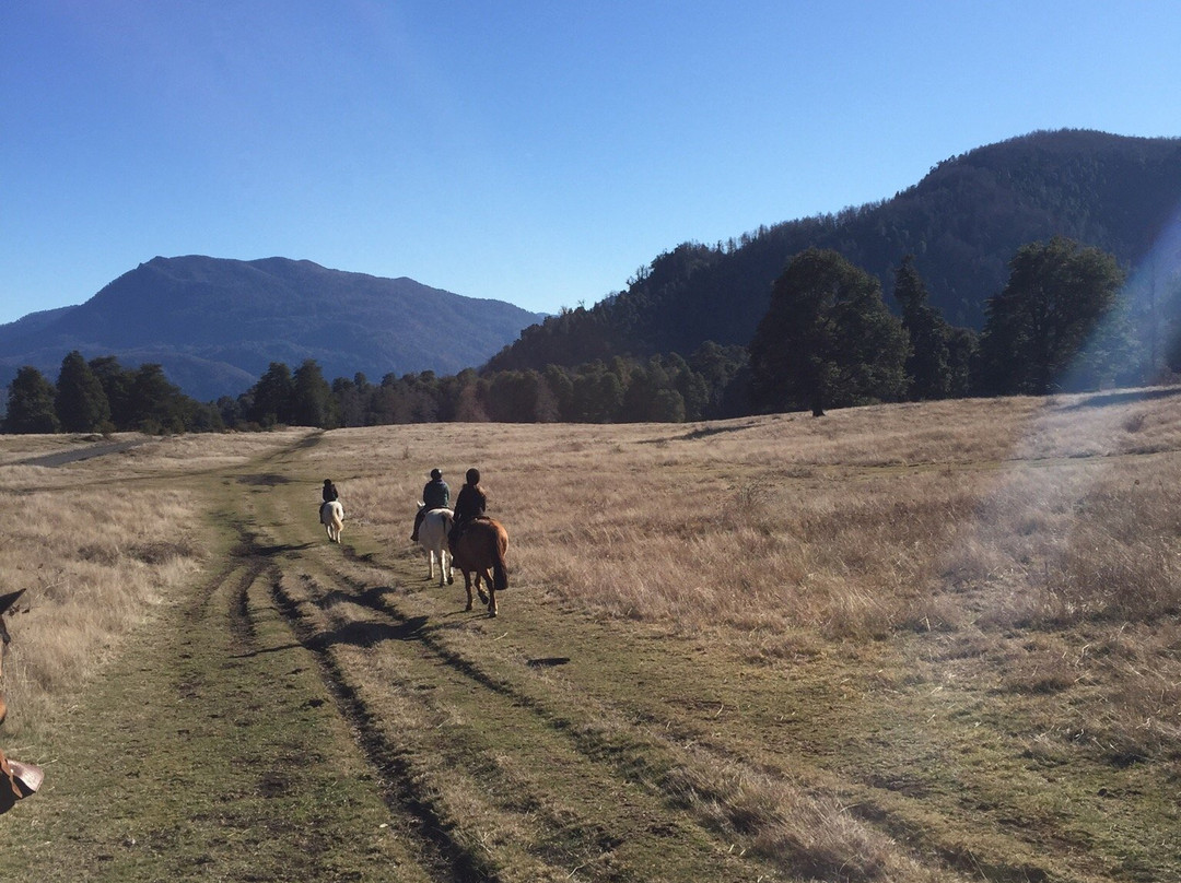 Cabalgatas-耐尔杜美必去景点