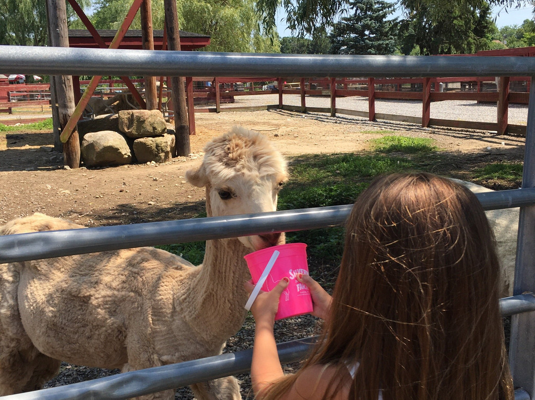 Silverman's Farm-Easton必去景点