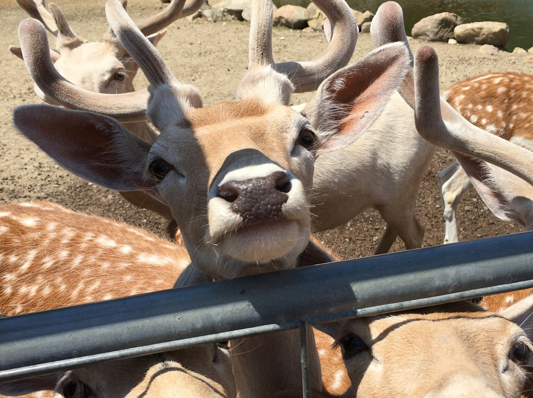 Silverman's Farm-Easton必去景点