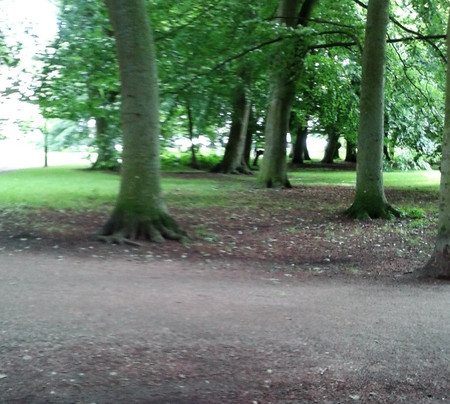 Rönneholmsparken-马尔默必去景点