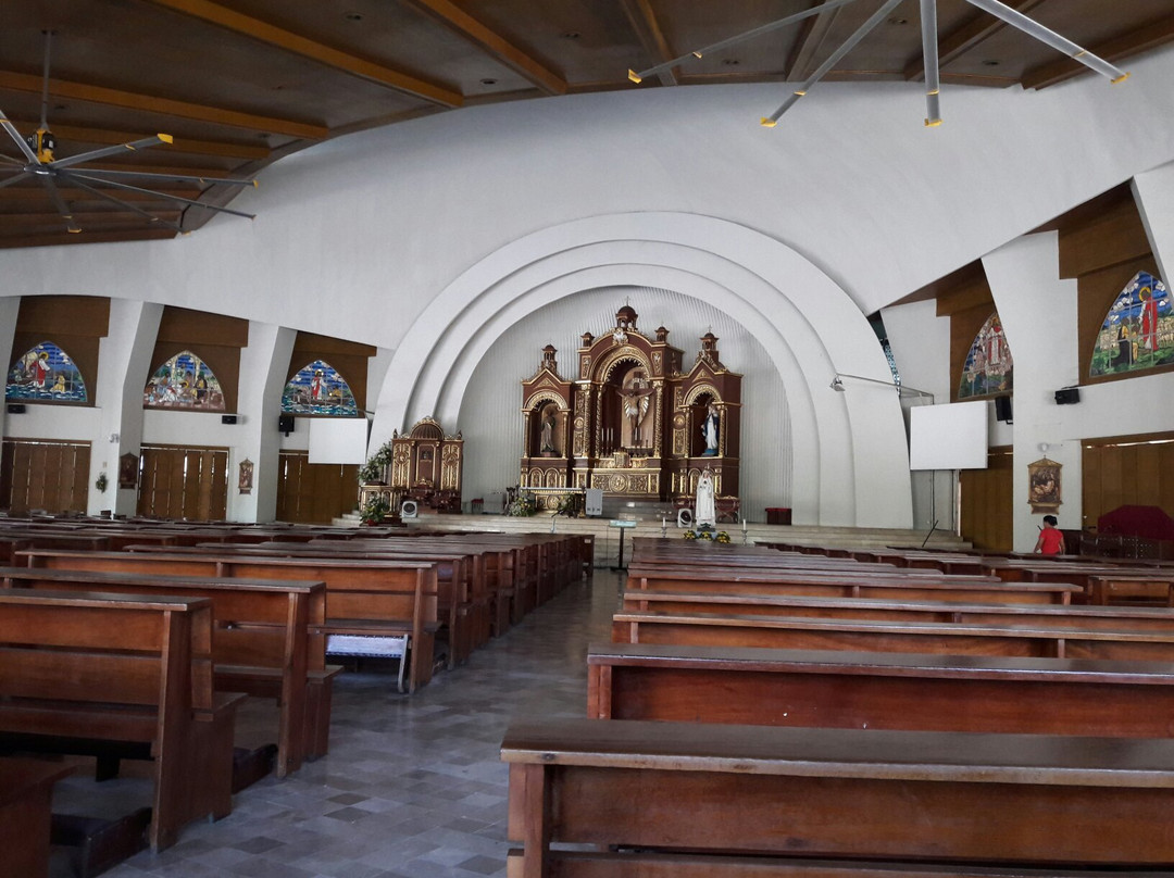 San Pedro Cathedral景点图片