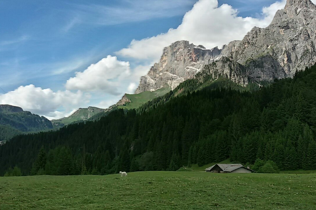 Il Bosco dei Sogni景点图片