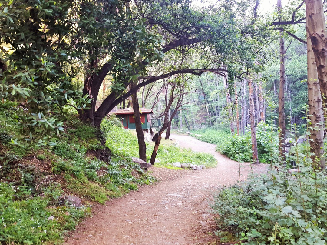 Big Santa Anita Canyon-蒙罗维亚必去景点