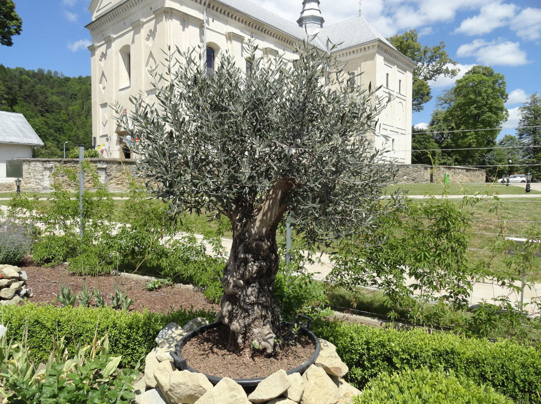 Muszyna Bible Gardens景点图片