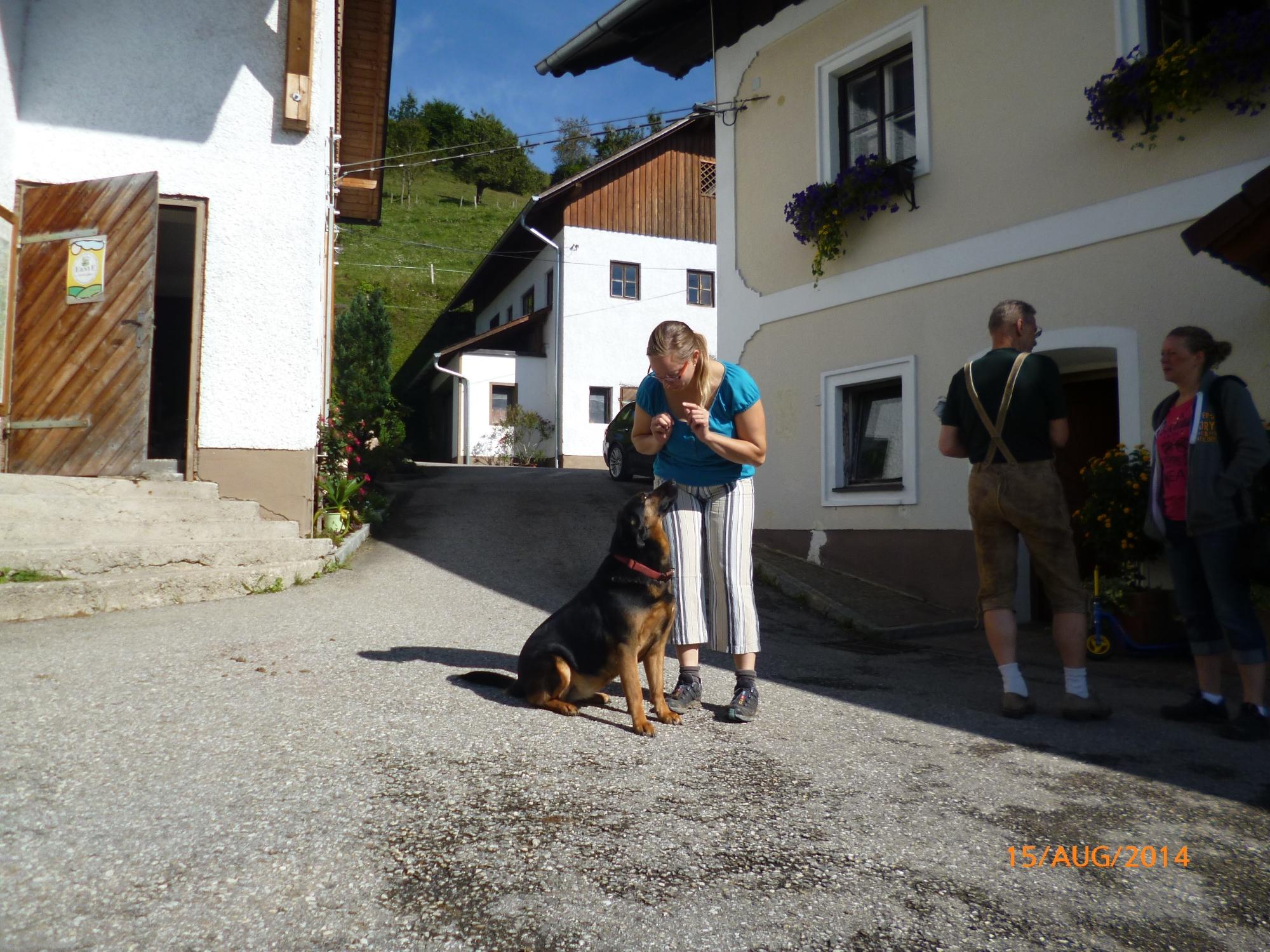 Ferienhof Rabenreith-浴室