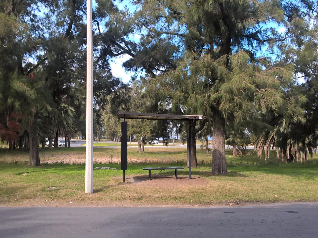 Playa Real de San Carlos-科洛尼亚·德尔萨克拉门托城必去景点