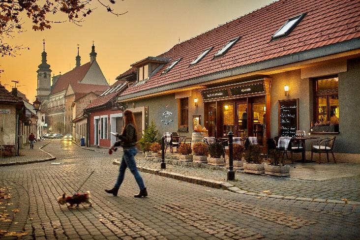 Trnava酒店住宿-Pension & Restaurant Patriot Trnava