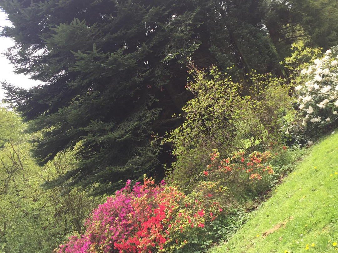 Whirlow Brook Park-谢菲尔德必去景点