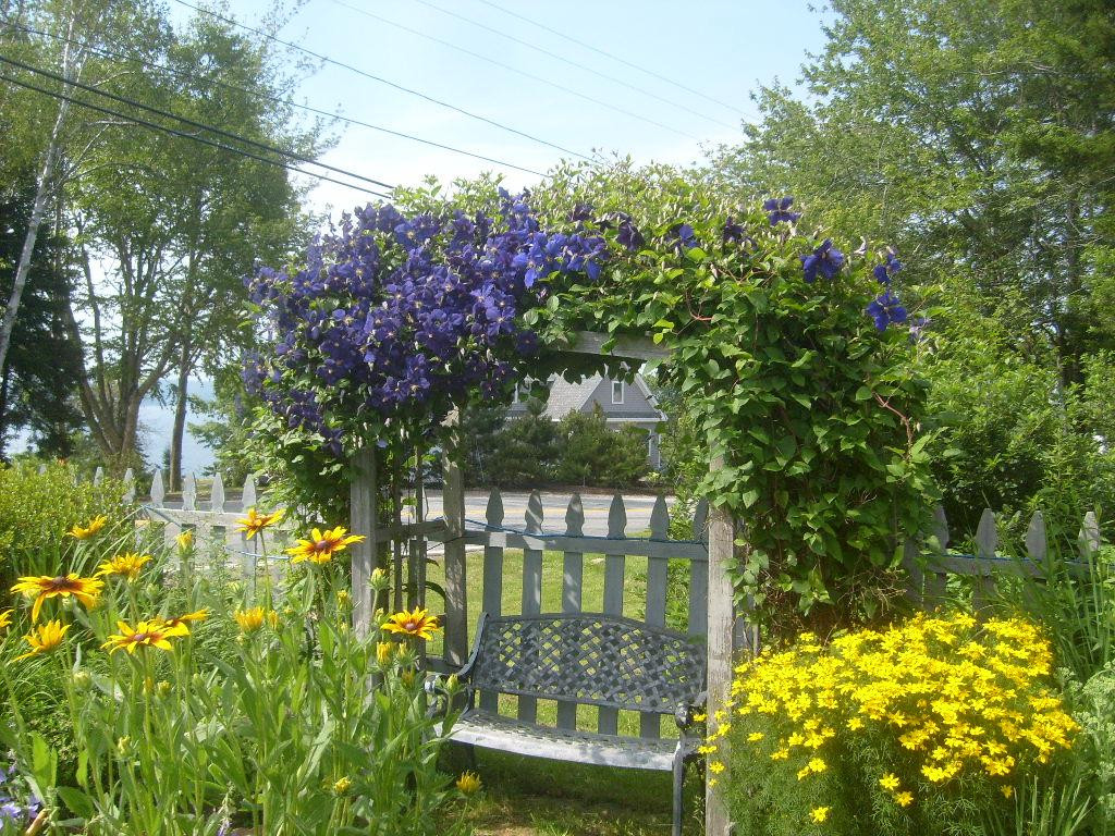 Small Point餐馆和美食-Island Candy Company