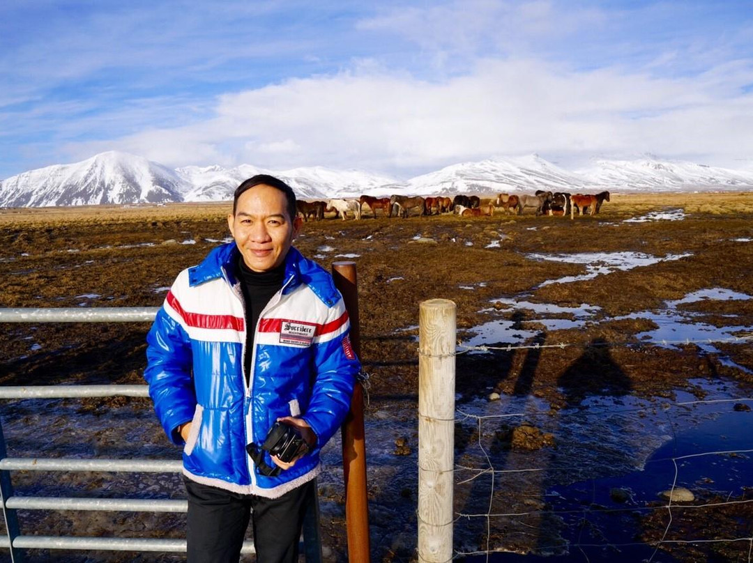 Galsi Horse Rental-Blonduos必去景点