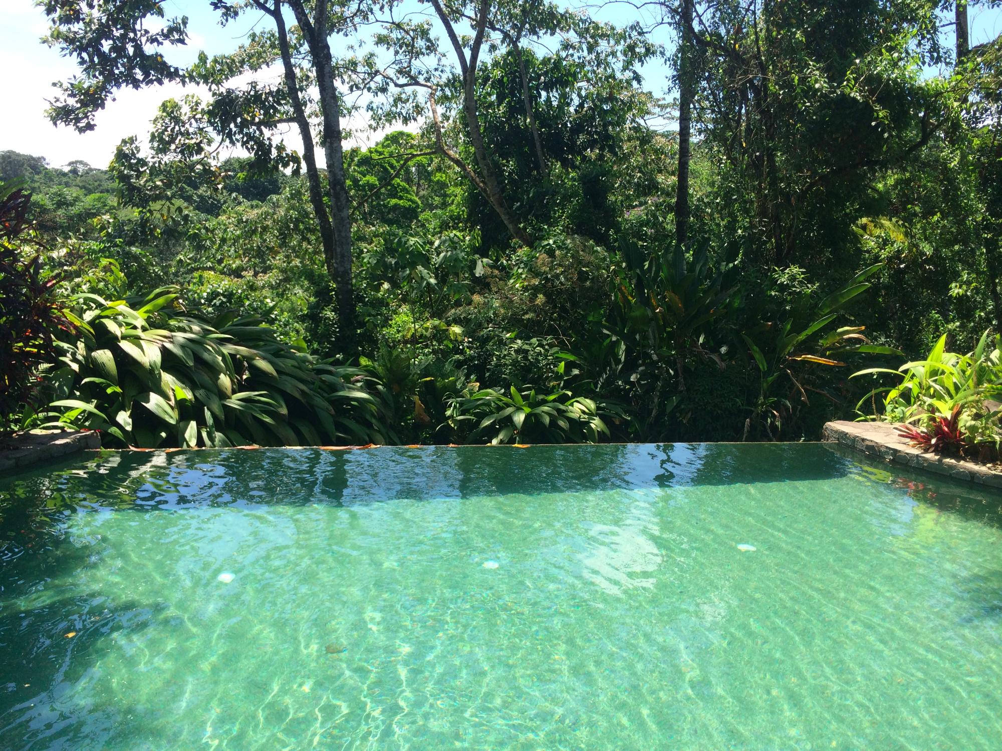 Casa Ecologica - Sarapiqui-泳池