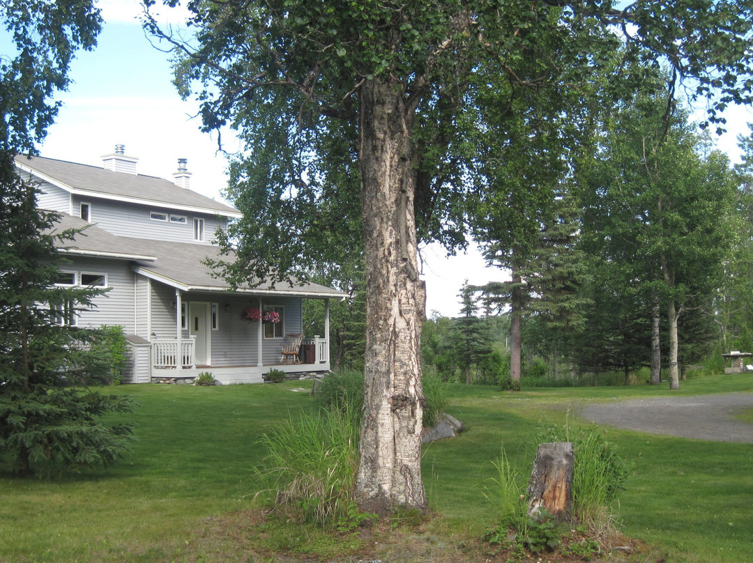 Meander In B&B主图