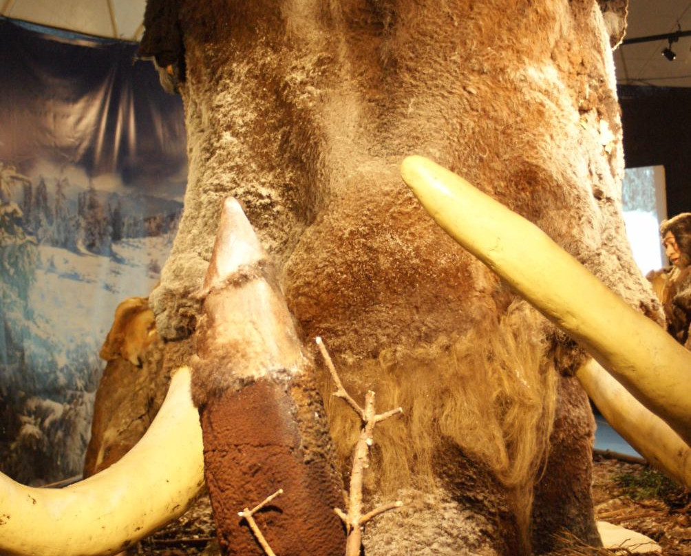 Centrum Neandertalczyka景点图片