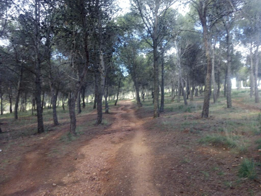Llano de la Perdiz-格拉纳达必去景点