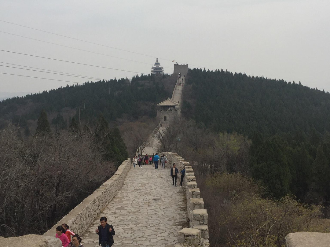 原山国家森林公园-淄博市必去景点