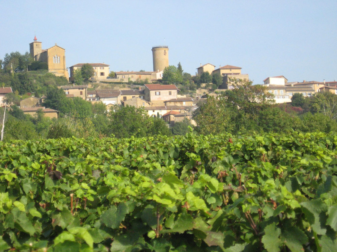 Domaine Guillard Roger et Nicole主图