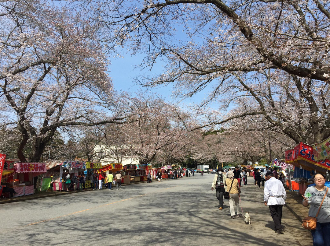 Kobayashi Farm-印西市必去景点
