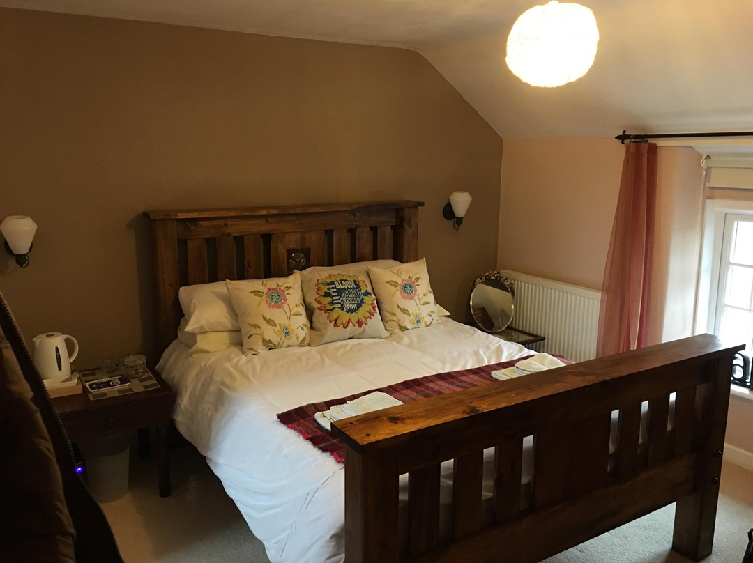 Rhedyn Guesthouse主图