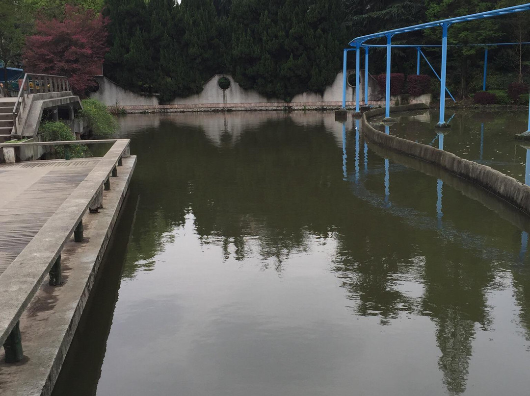 西湖公园-衡阳市必去景点