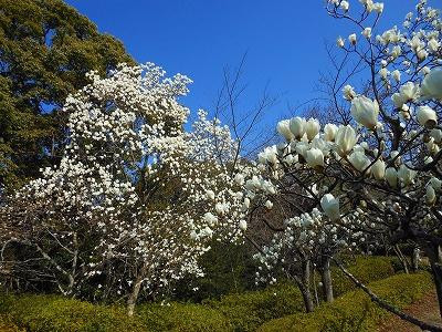 Kabutoyama Shinrin Park-西宫市必去景点