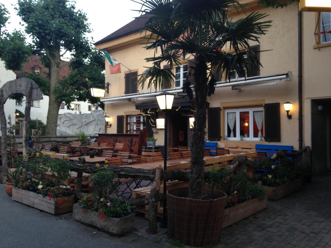 Canton of Solothurn餐馆和美食-Hacienda Dornach