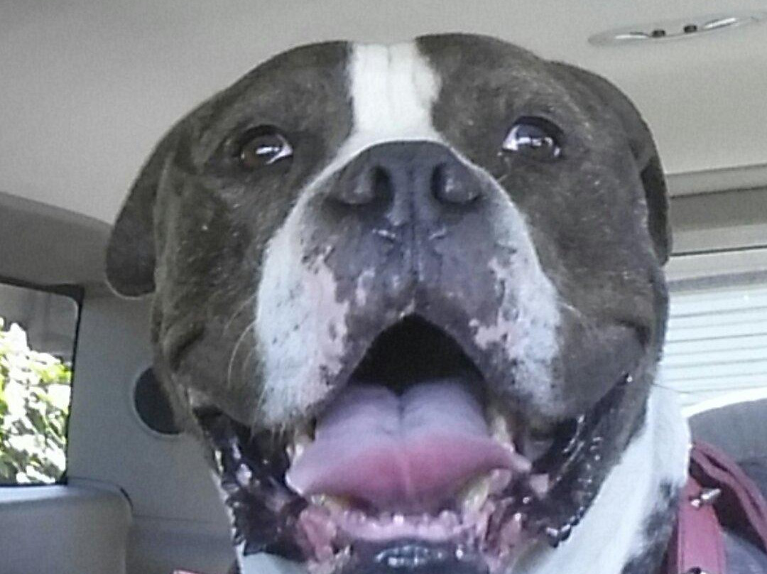 Me-n-ed's Pizza Parlor