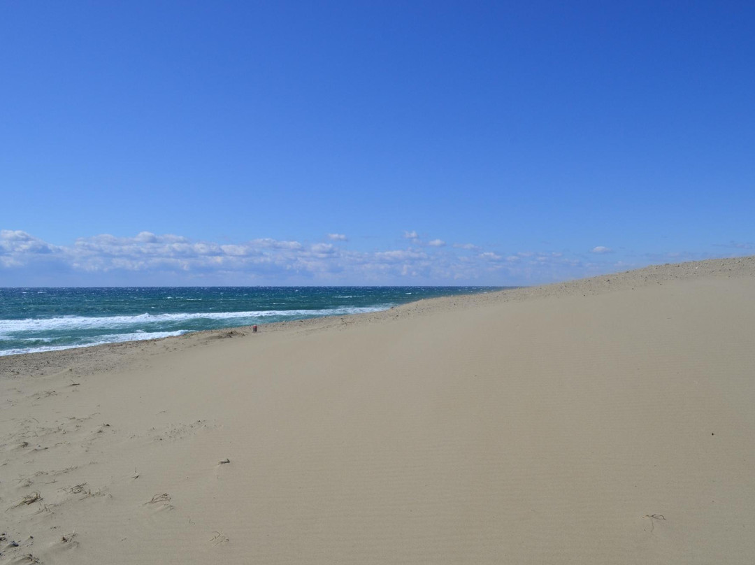 Hamaoka Sand Dune景点图片